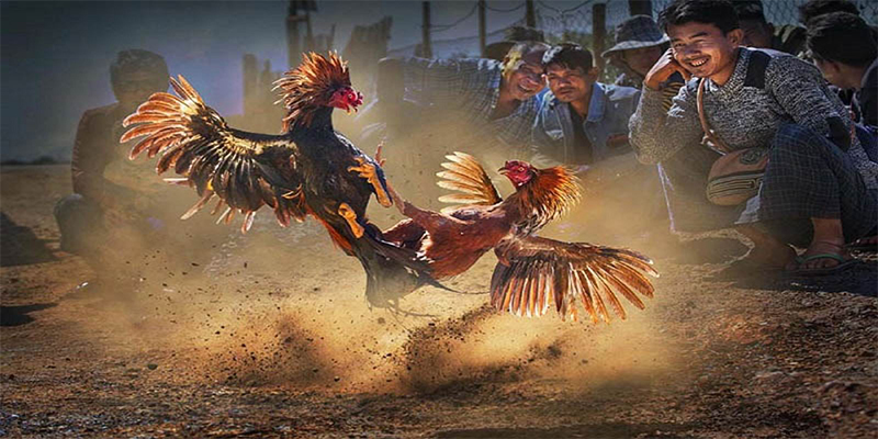 99wim đăng nhập roulette số 1