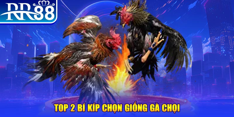 99wim đăng nhập poker số 1