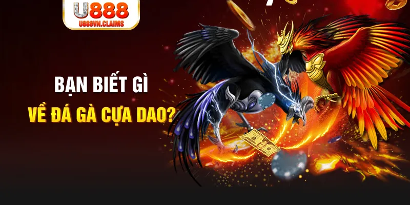 99wim xổ số kiến thiết