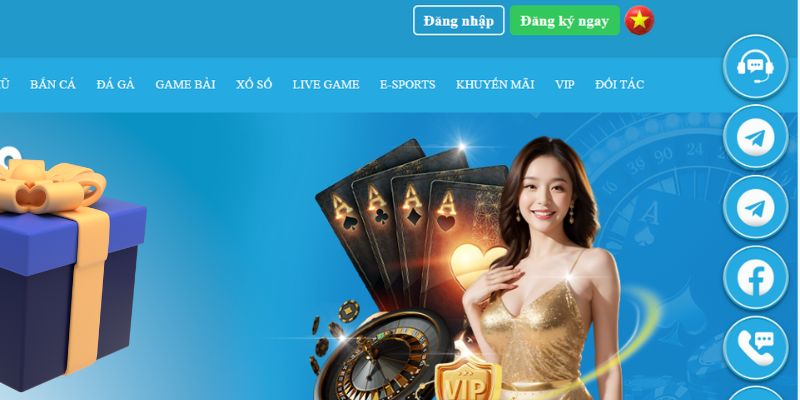 99wim slot là gì dịch