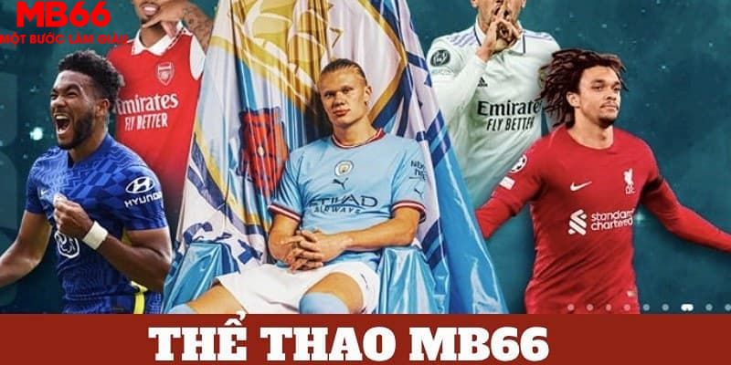 99wim tỷ lệ cá cược châu á là gì