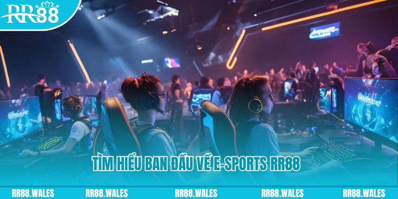 99wim Đĩa màu ace