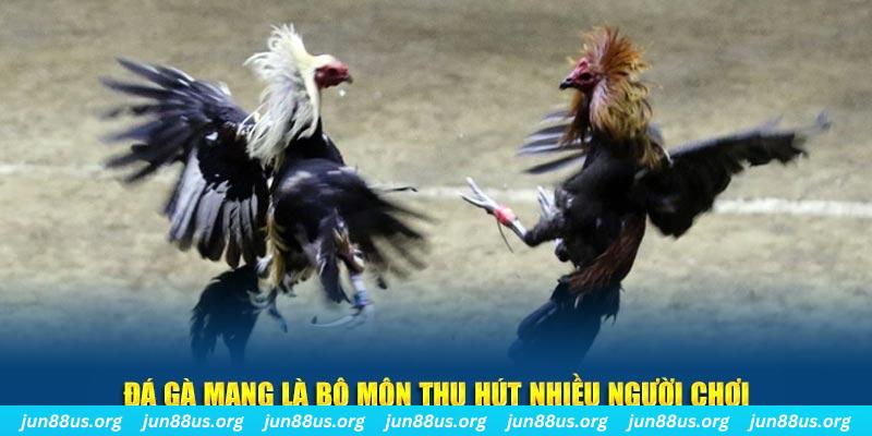 99wim xổ số cà mau