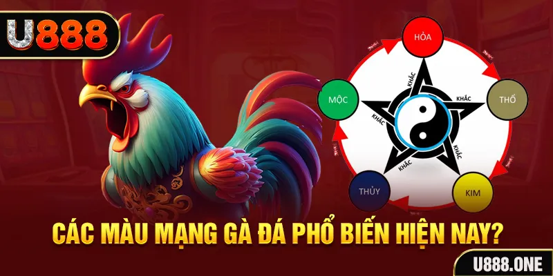 99wim đăng nhập mậu binh