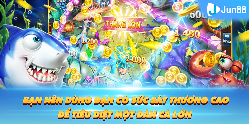 99wim Tung Đồng Xu
