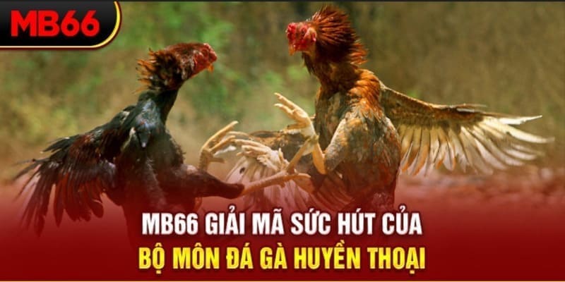 99wim Phi Đội Ưu Tú