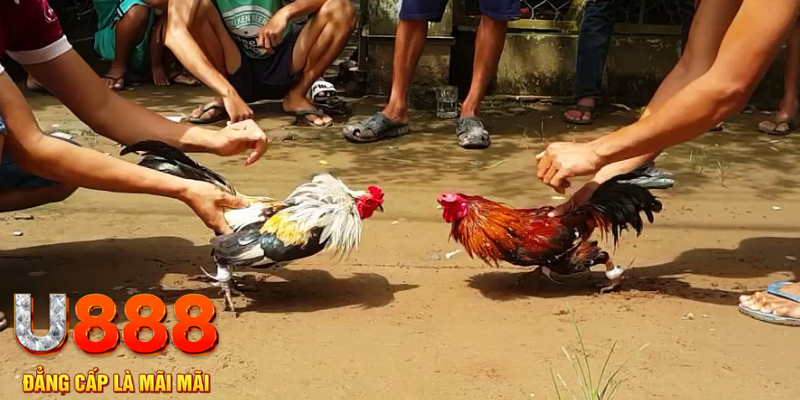 99wim đăng nhập mậu binh rút tiền nhanh