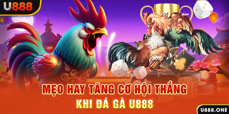 99wim trực tiếp gà chọi c1