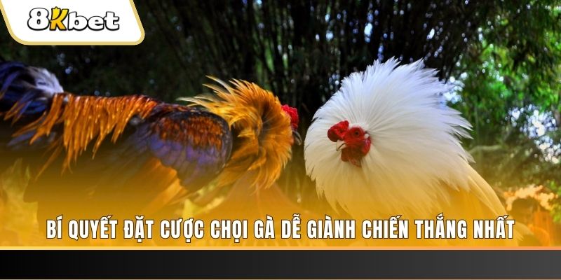 99wim Tài Xỉu 2
