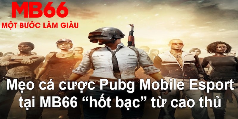 99wim gà chọi mộc hóa