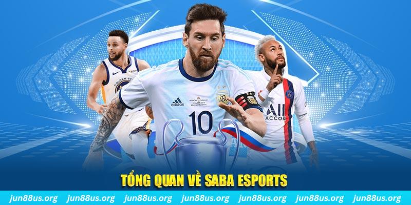 99wim gà chọi c1 tv trực tiếp hôm nay