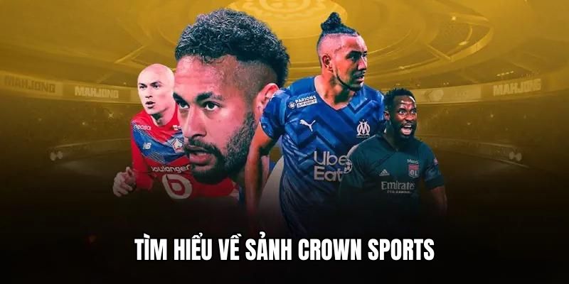 99wim đá gà trực tiếp