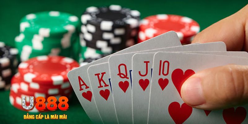 99wim trực tiếp đá gà